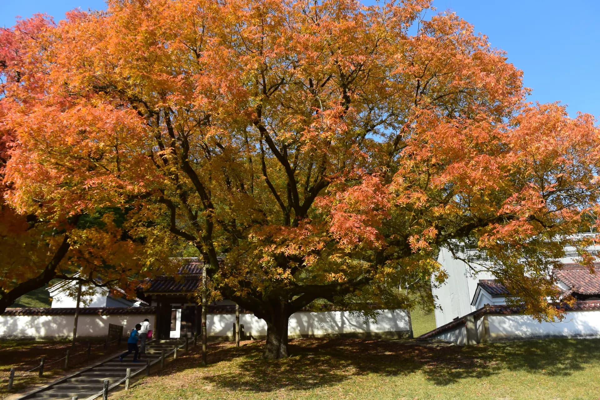 閑谷学校
