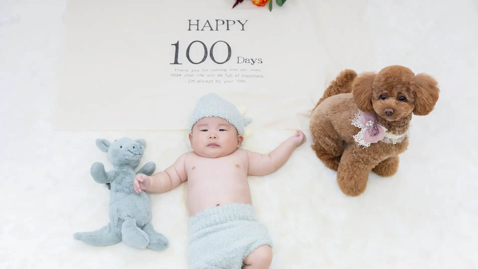 デザインアルバム&フォトのイメージ写真