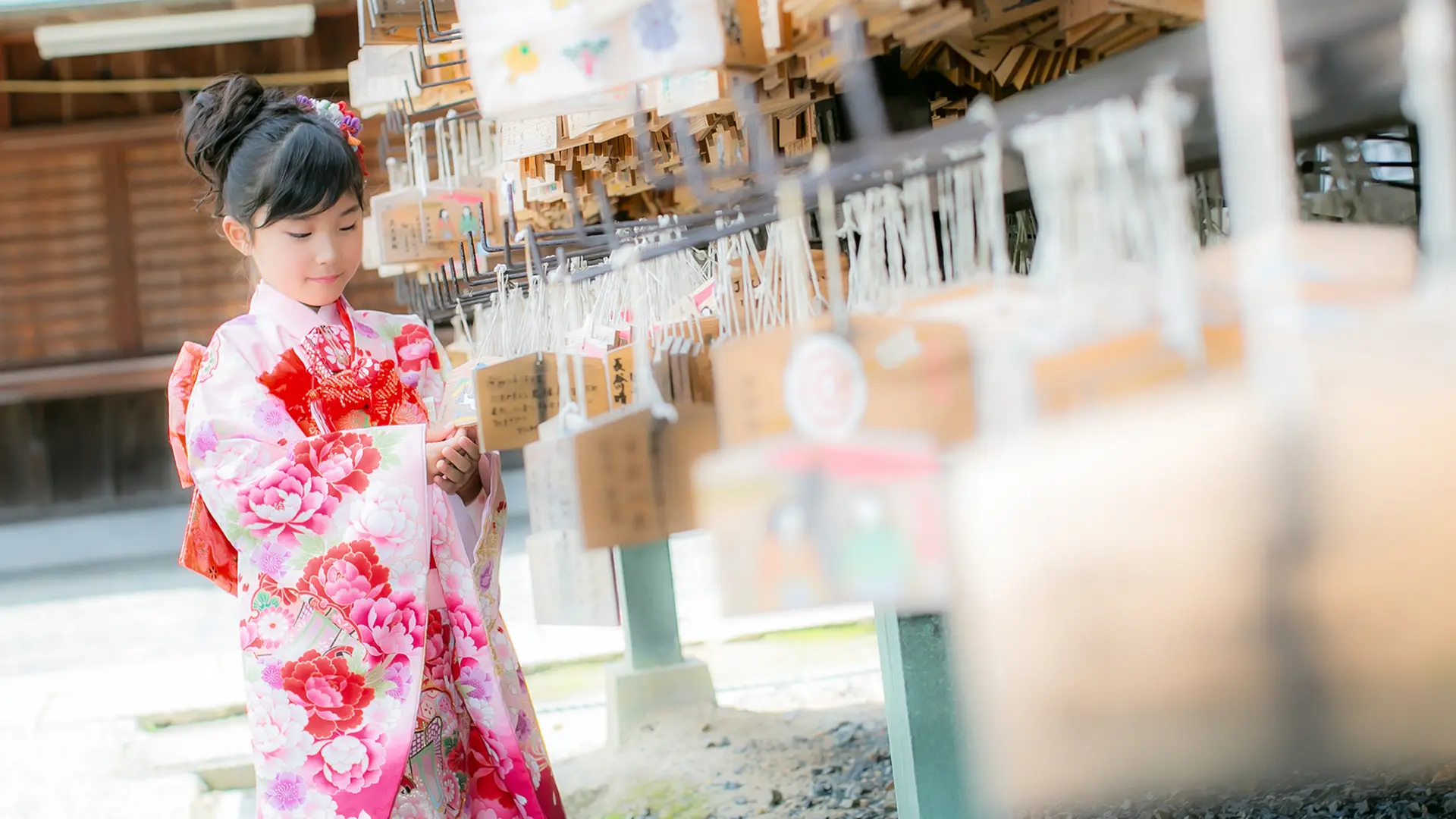 全データのイメージ写真