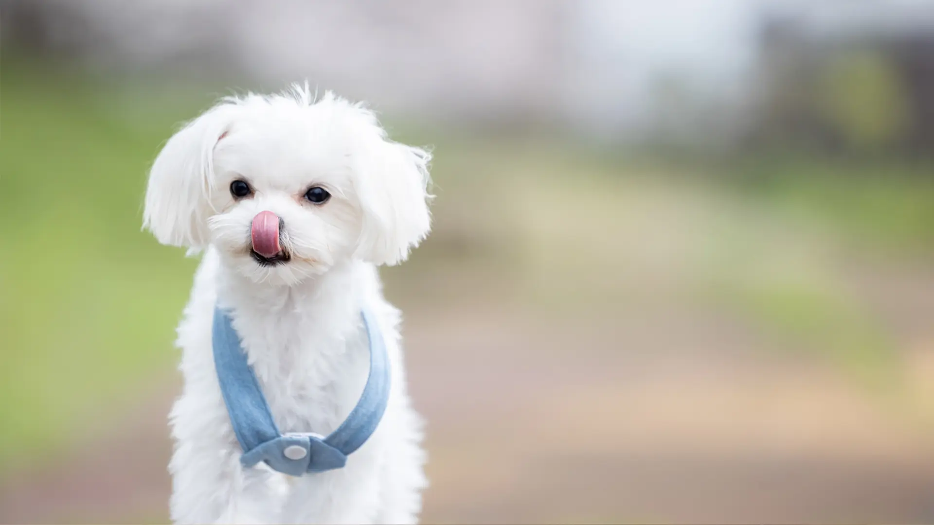 撮影のみ(ロケーション)のイメージ写真
