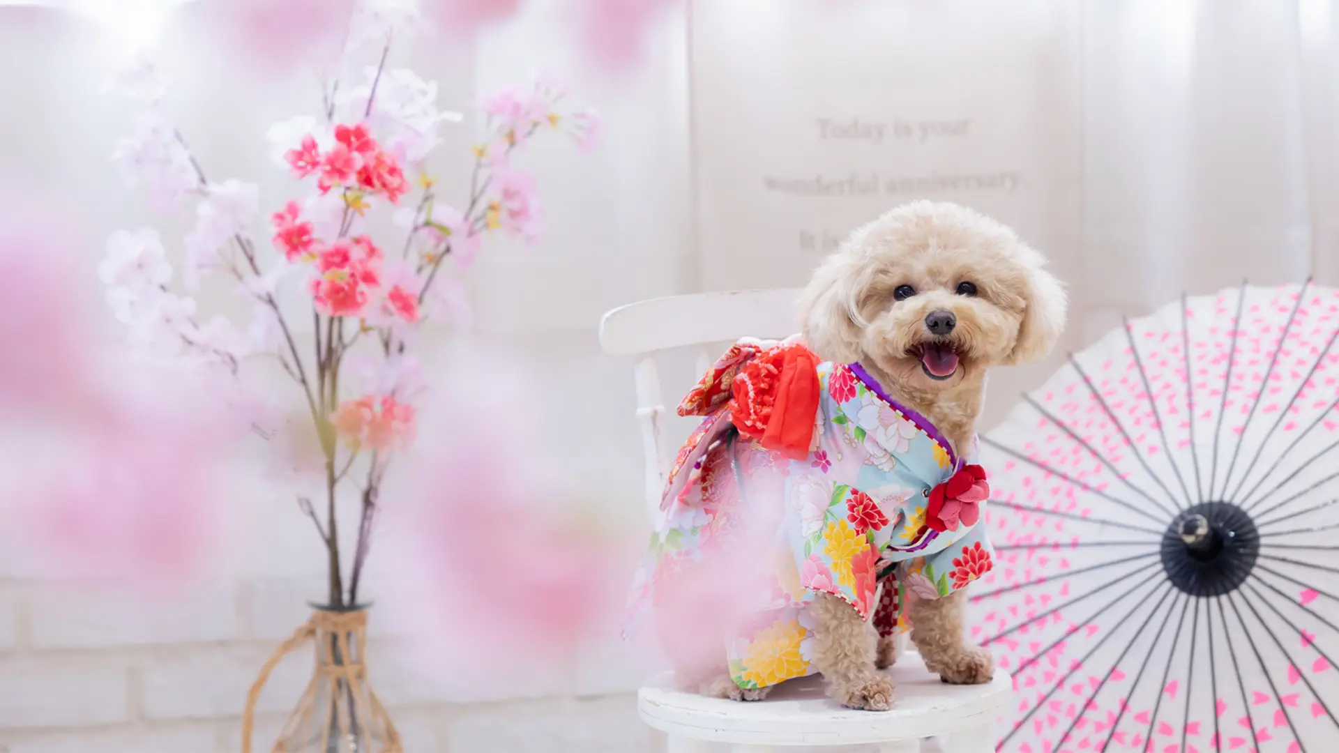 デザインアルバム&フォトパネルのイメージ写真