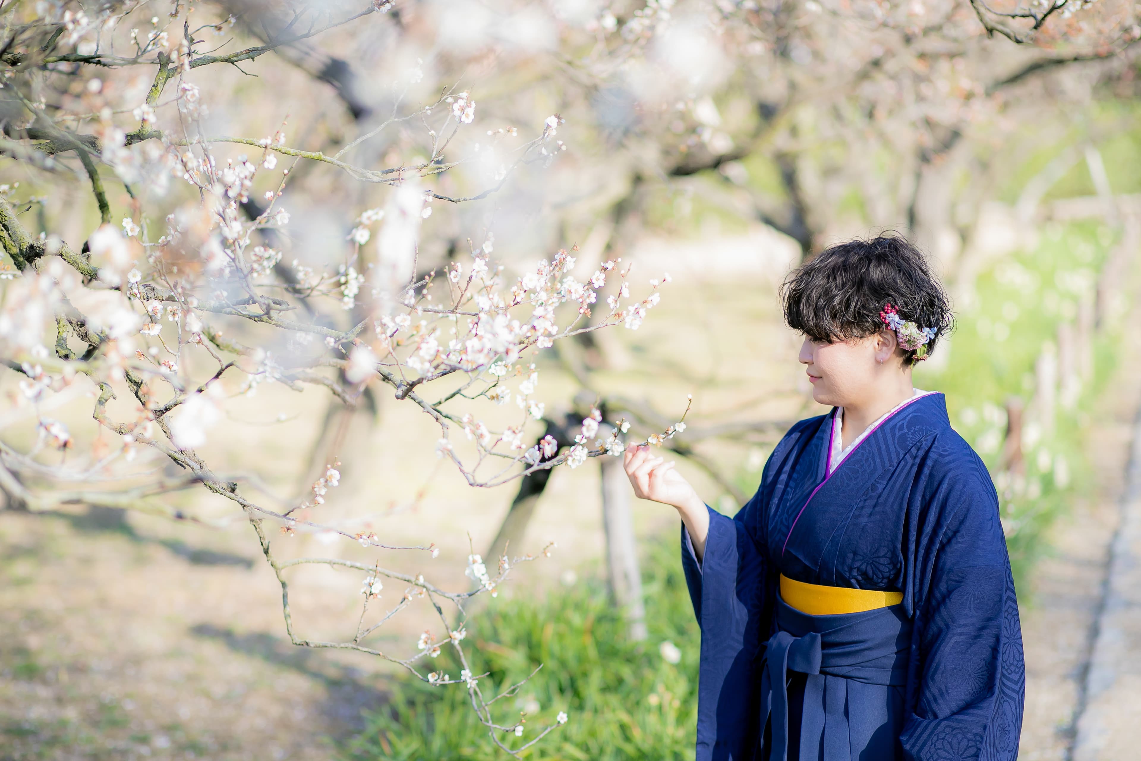 デザインアルバム&フォトパネルのイメージ写真